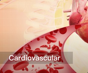 Cardiovascular
