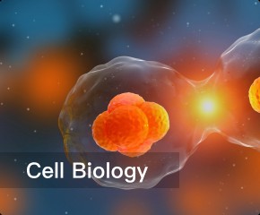 Cell Biology