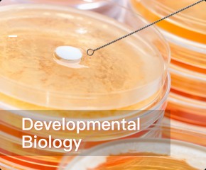Developmental Biology