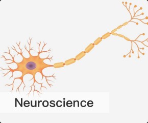 Neuroscience